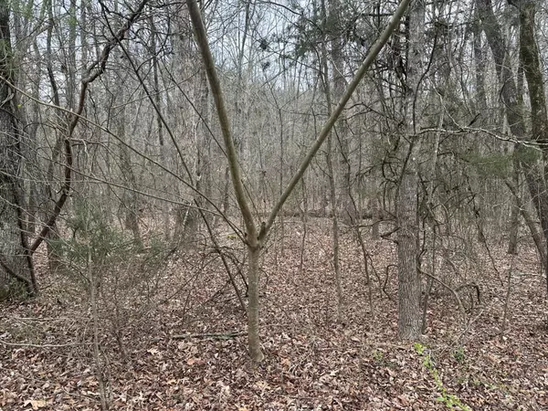 0 Hidden Ridge Loop,  Dunlap,  TN 37327