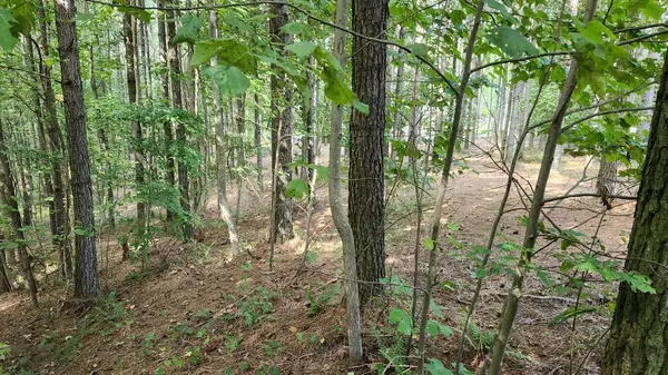 Jasper, TN 37347,201225 Compass Drive