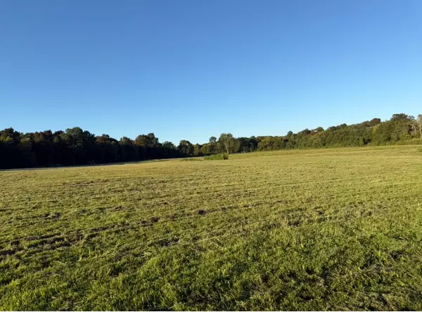 Bell Buckle, TN 37020,0 Minkslide Rd