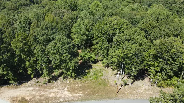 Waverly, TN 37185,0 Mayne Trace Rd