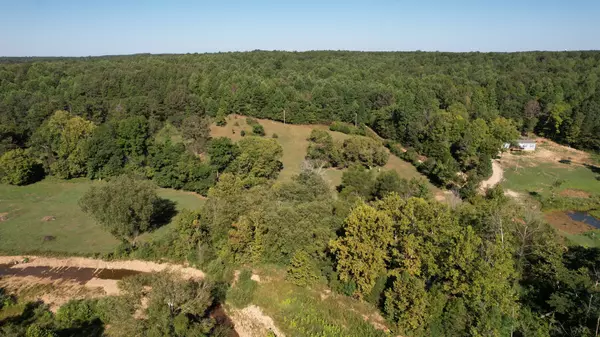 Hohenwald, TN 38462,446 Grinders Creek Rd