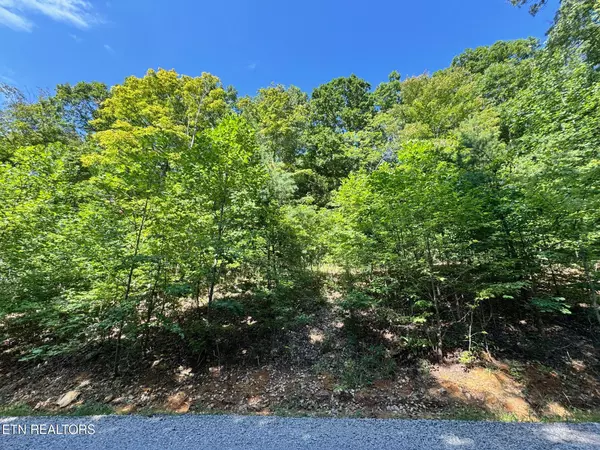 Allons, TN 38541,626 North Pointe Tr