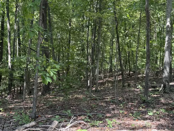 Hilham, TN 38568,0 Spence Ln