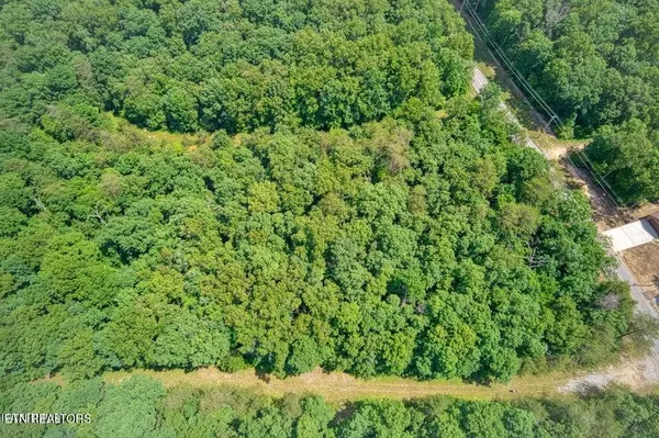 Crossville, TN 38558,106 Brunswick Place