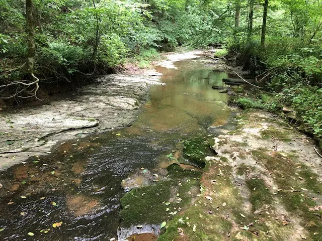 Ethridge, TN 38456,2270 Shuler Branch Rd