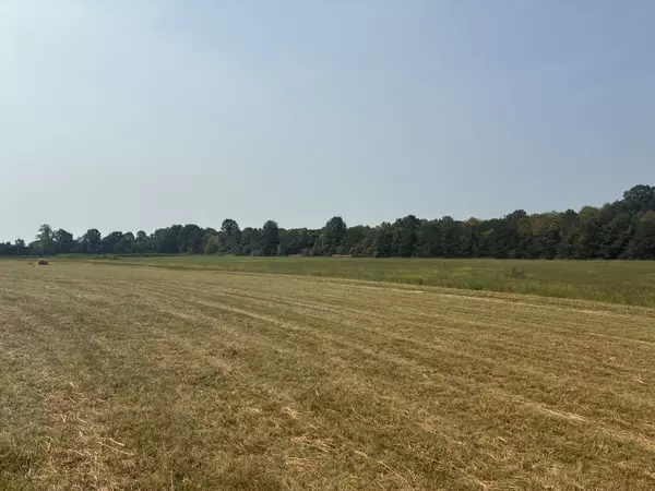 Chapel Hill, TN 37034,5553 Thick Rd