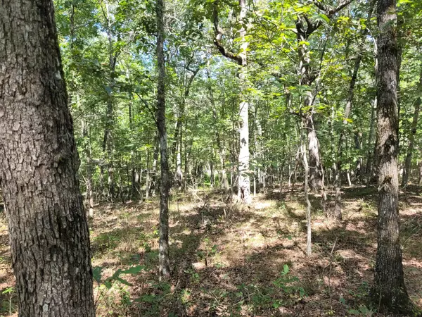 Spencer, TN 38585,122 Camp Creek Crcle