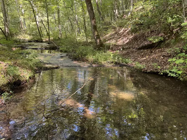 Hohenwald, TN 38462,105 Sickler Road