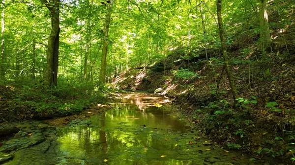 Nashville, TN 37209,8218 Old Pond Creek Rd