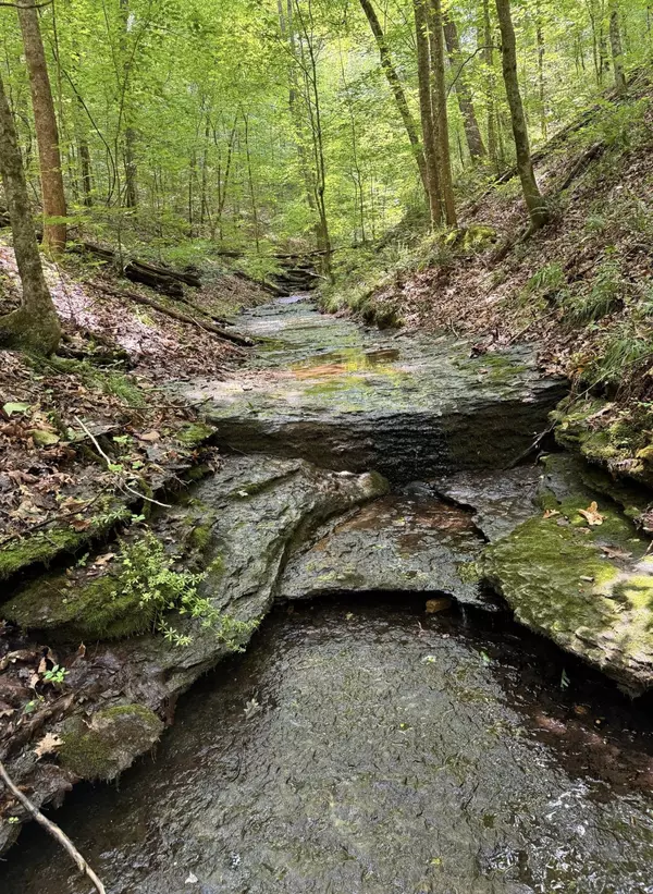 Ashland City, TN 37015,0 Biota Trail