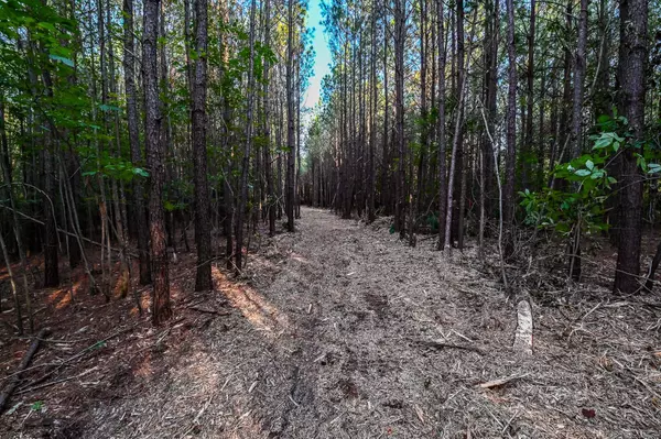 Hohenwald, TN 38462,0 Brush Creek Rd