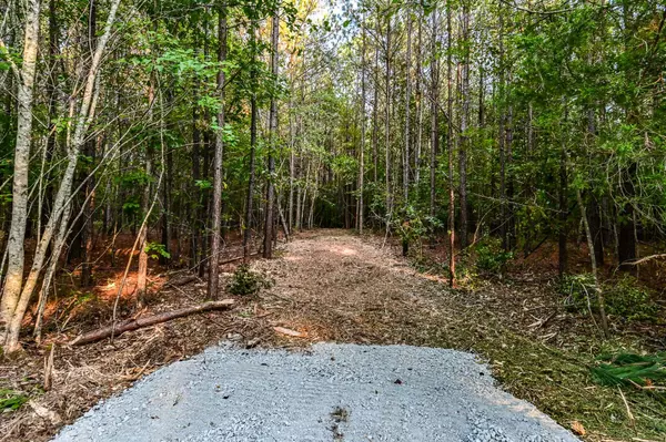 Hohenwald, TN 38462,0 Brush Creek Rd