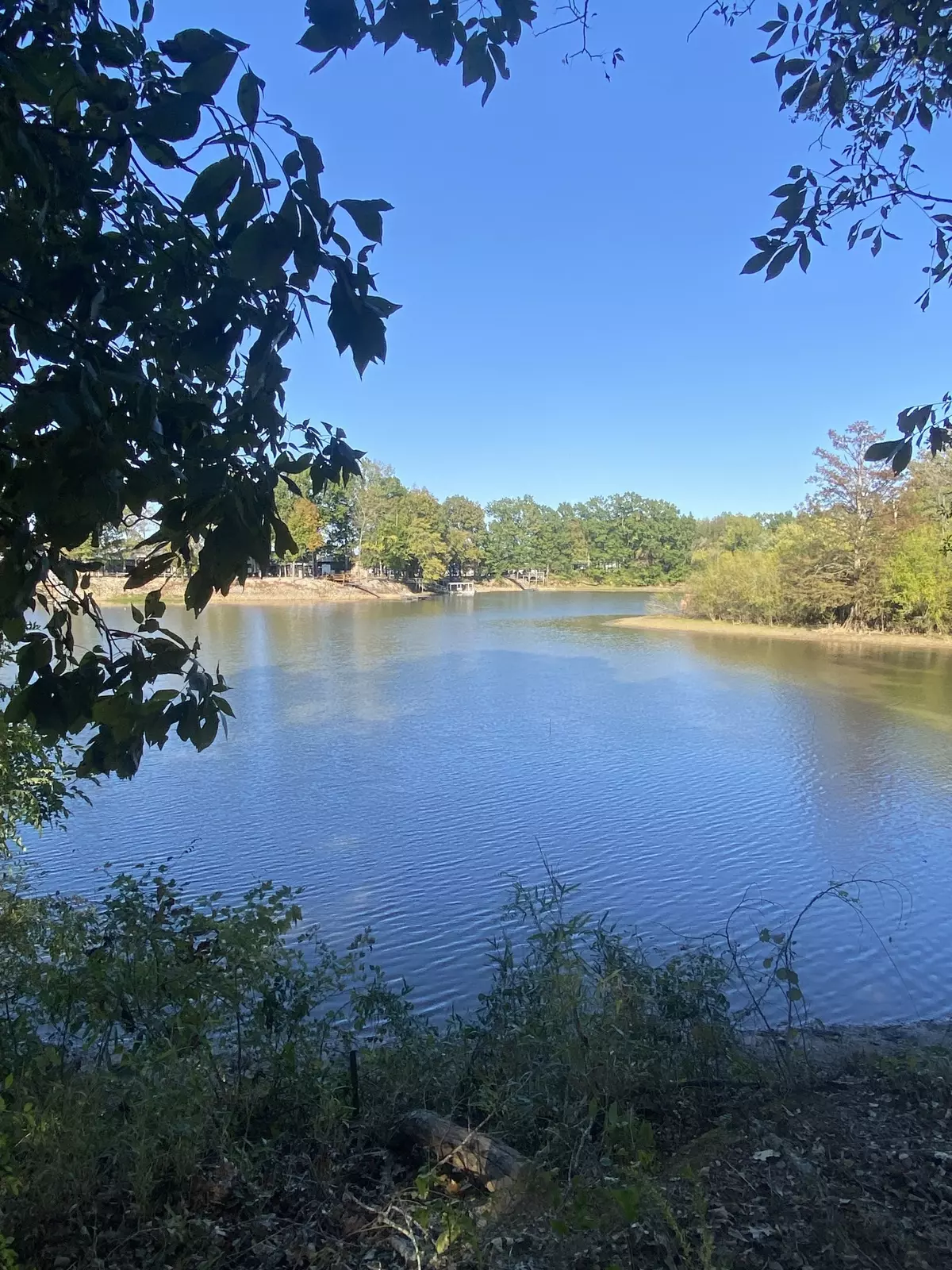 Clifton, TN 38425,442 Duck Blind Rd