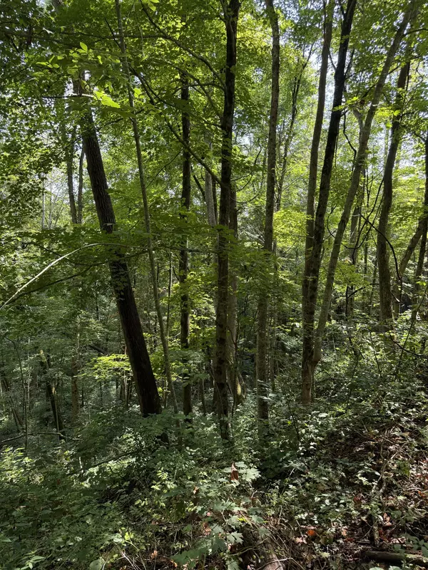 Altamont, TN 37301,0 State Route 108