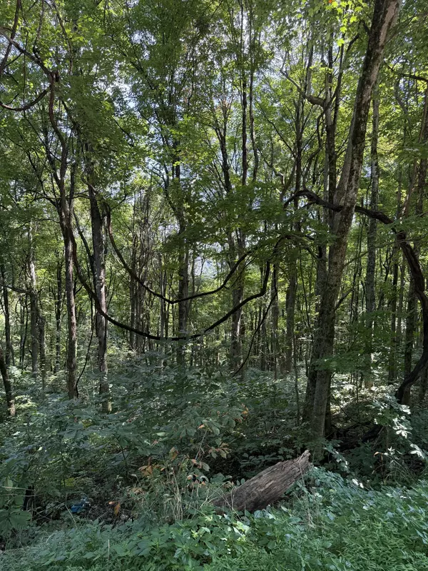 Altamont, TN 37301,0 State Route 108