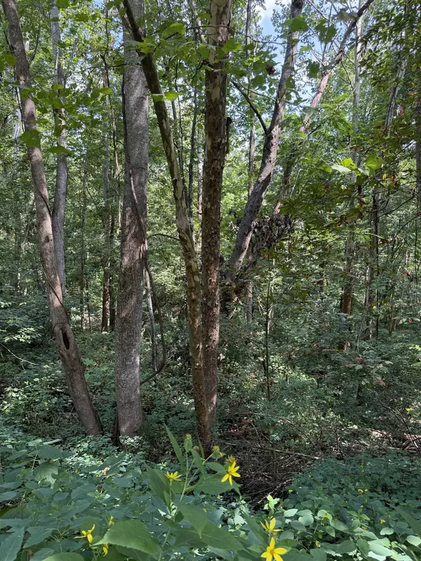 Altamont, TN 37301,0 State Route 108