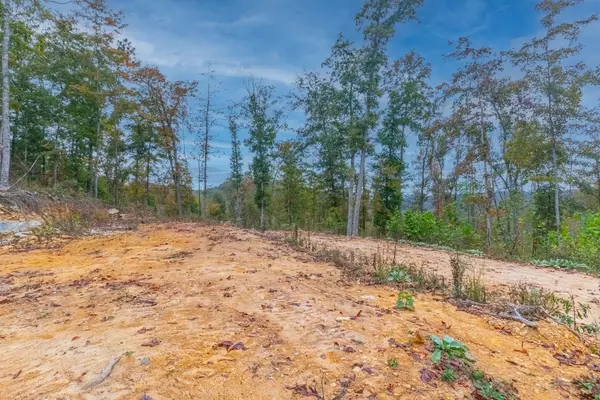 Ashland City, TN 37015,0 Ross Hollow Rd