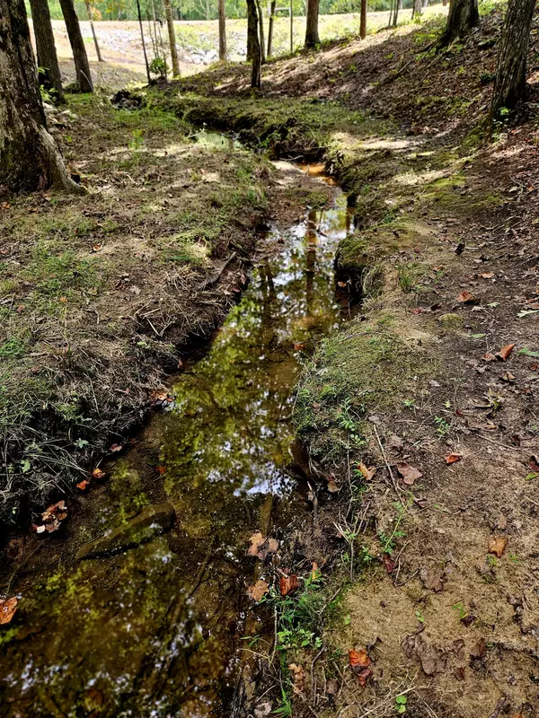 Altamont, TN 37301,136 Winding Creek Way