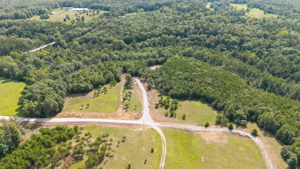 Altamont, TN 37301,25 Creekview Ln