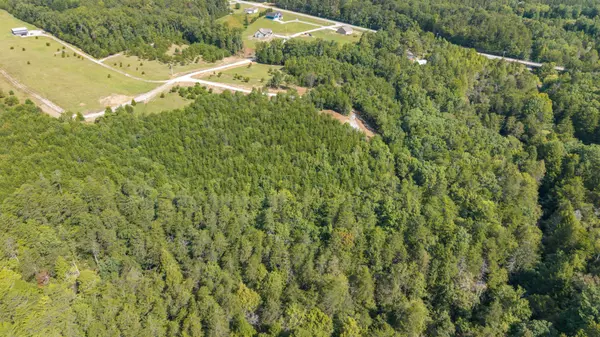 Altamont, TN 37301,54 Creekview Ln