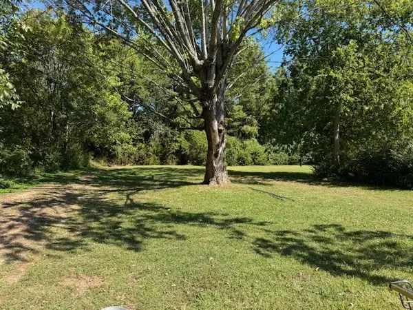 Hohenwald, TN 38462,109 Swan Ave