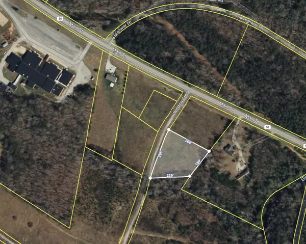 Altamont, TN 37301,67 Winding Creek Way