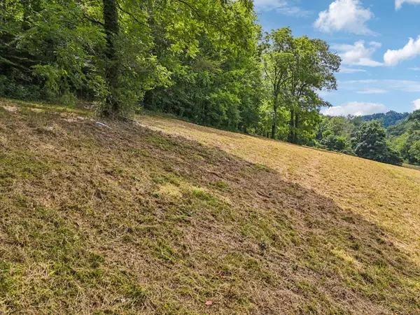 Bell Buckle, TN 37020,10A Puncheon Camp Ln