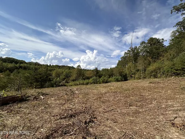 Allardt, TN 38504,0 13.44 Ac Chestnut Ridge Rd