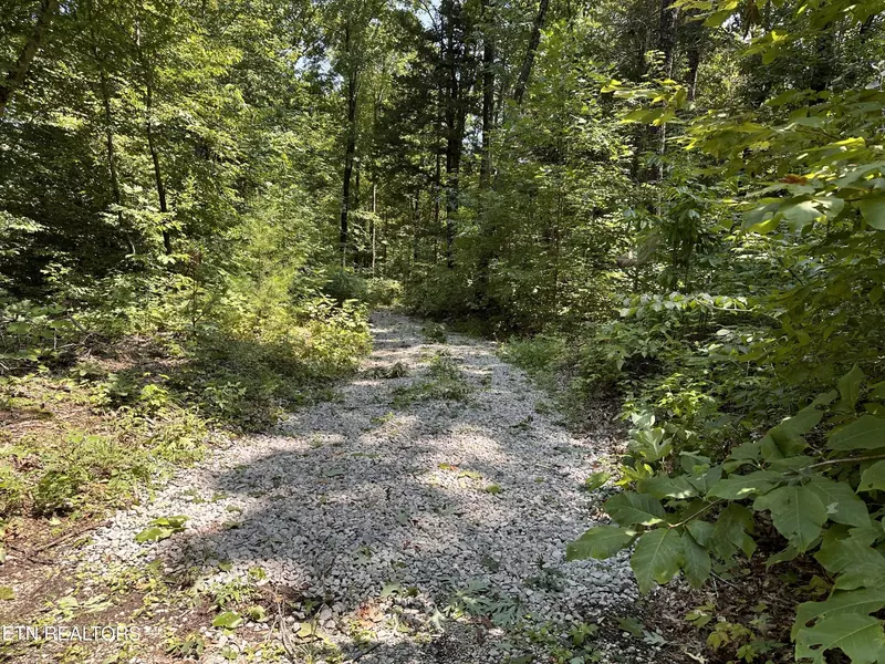 1255 Winningham Rd, Byrdstown, TN 38549