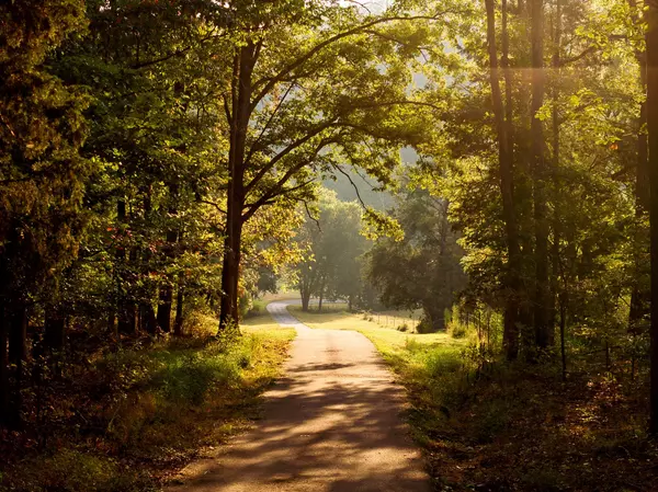 Centerville, TN 37033,450 Lowe Branch Rd