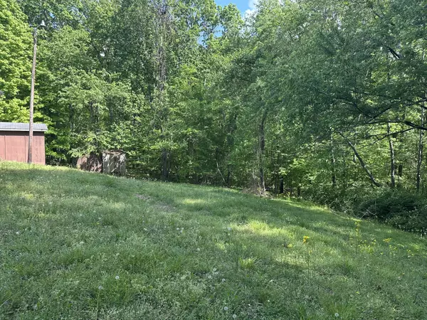 Erin, TN 37061,370 Wolfe Blvd