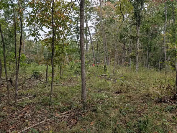 Altamont, TN 37301,0 Deer Run Rd Lot 146