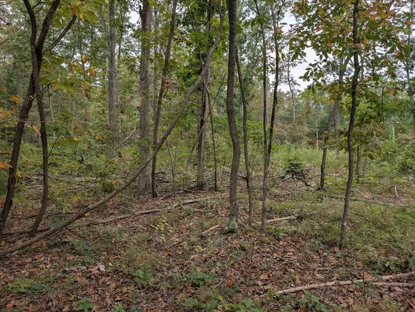 Altamont, TN 37301,0 Deer Run Rd Lot 146