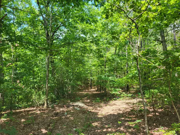 Holladay, TN 38341,3 Birdsong Rd