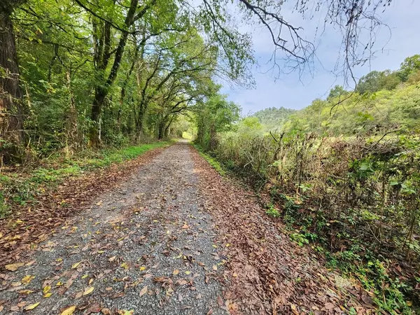 Whitleyville, TN 38588,0 Webster Branch Ln
