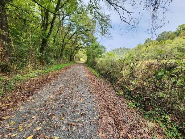Whitleyville, TN 38588,0 Webster Branch Ln