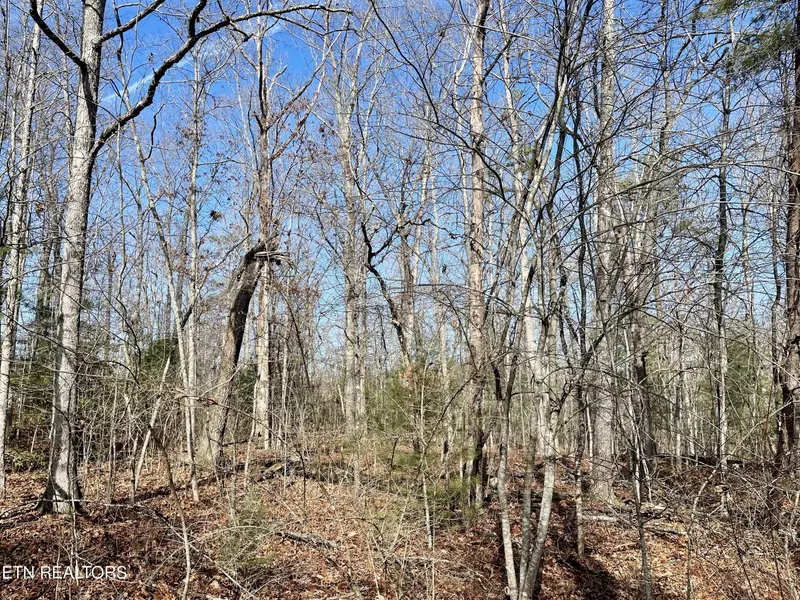 44 Rusham Circle, Crossville, TN 38558