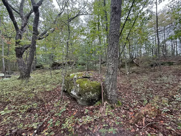 Crossville, TN 38558,551 Stonehenge Dr