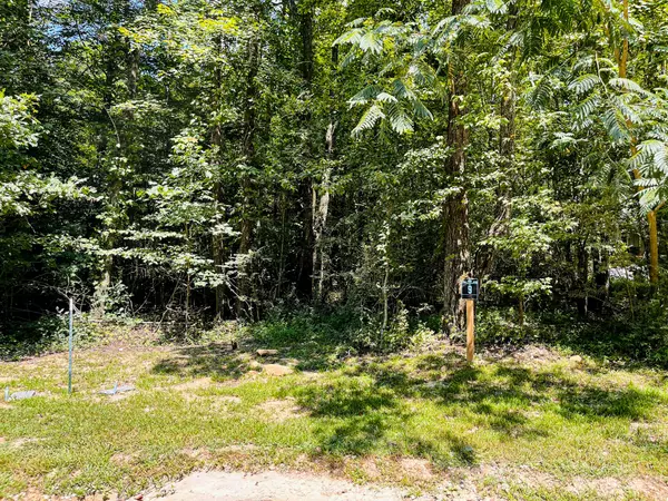 Monteagle, TN 37356,84 Sunset Bluff Way