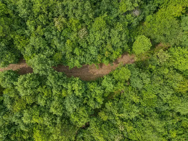 Waverly, TN 37185,0 Bear Hollow Dr