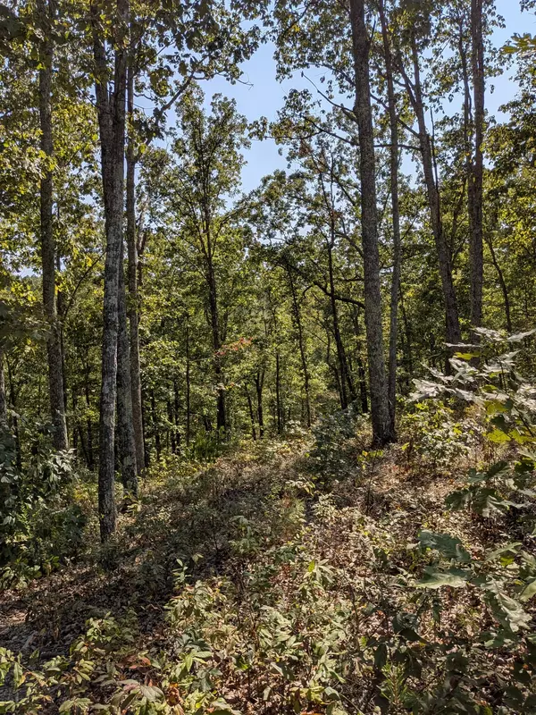 Waverly, TN 37185,0 Richland Harbor RD