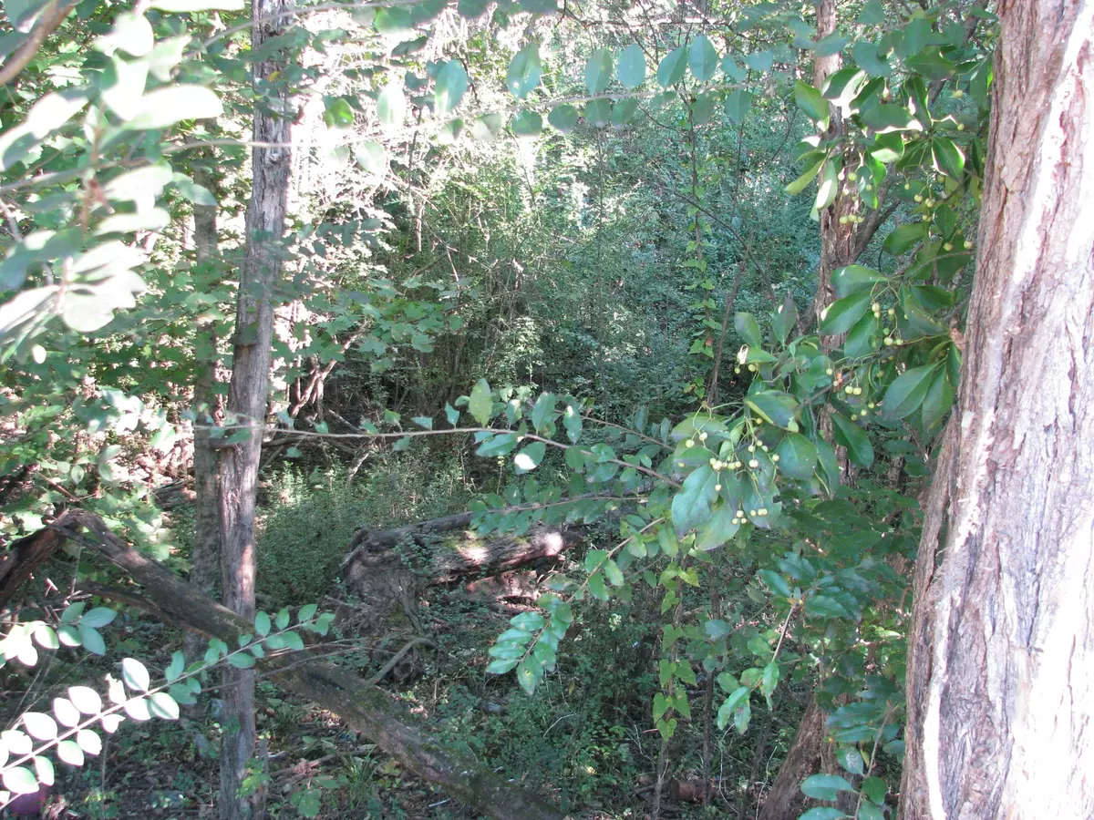 Mc Ewen, TN 37101,596 High St #E