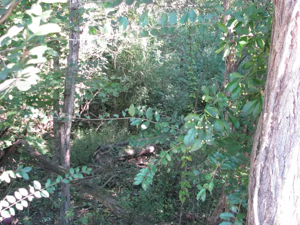 596 High St #E, Mc Ewen, TN 37101