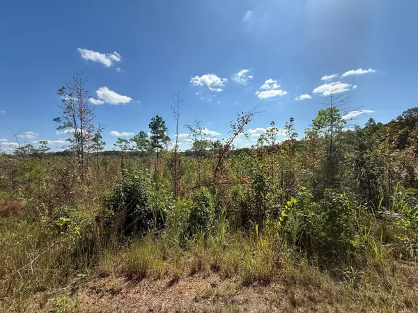 Adamsville, TN 38310,4 Leapwood Enville Rd