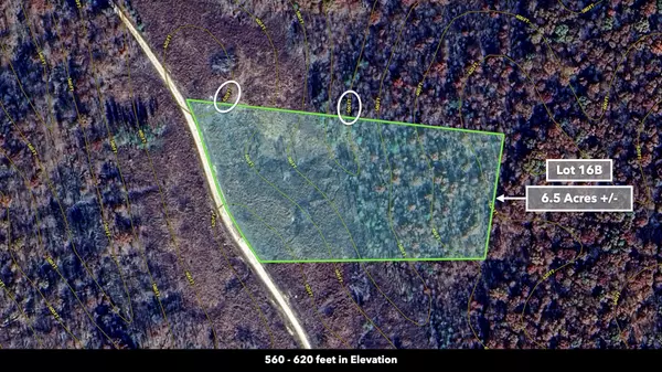 Dover, TN 37058,0 Cox Hollow