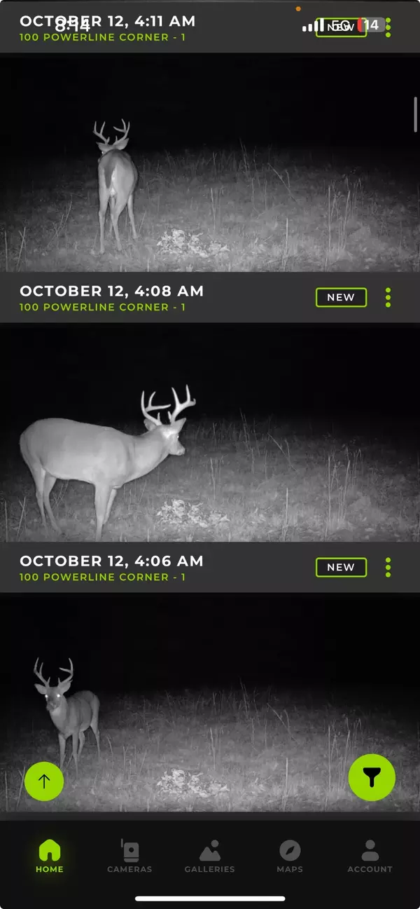 0 Allens Creek Rd, Hohenwald, TN 38462