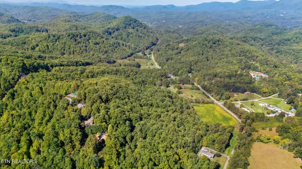 Cosby, TN 37722,0 Jones Cove Rd