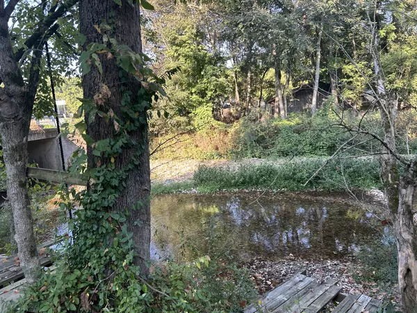 Dover, TN 37058,110 Manners Rd