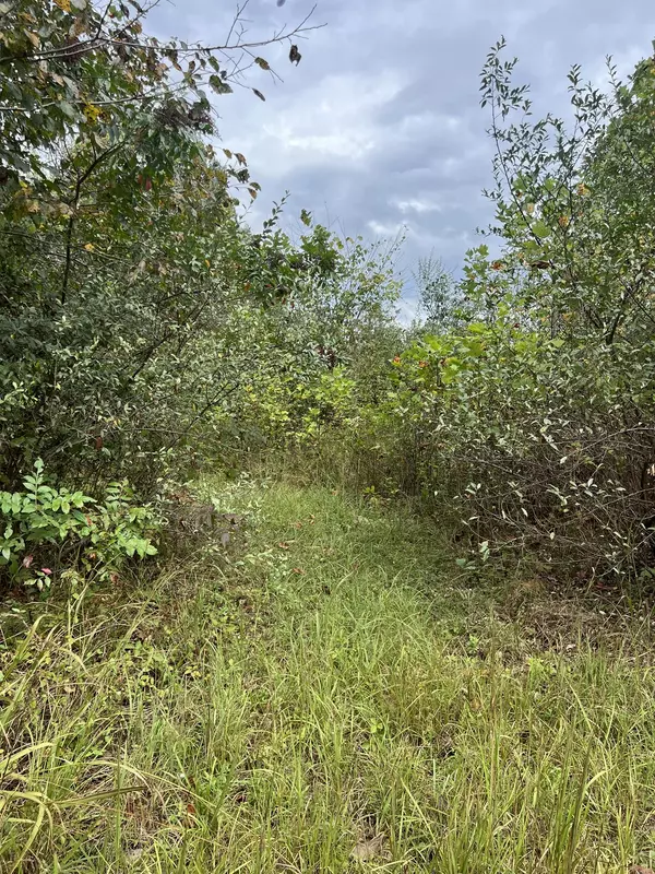 Bethpage, TN 37022,3131 Highway 52 #E