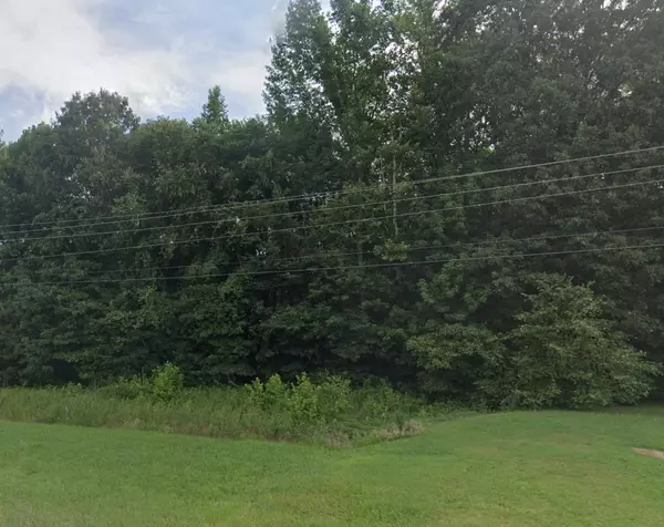 Bradford, TN 38316,0 Milan Highway